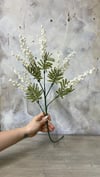 BEYAZ MİMOZA ÇİÇEĞİ 78 CM