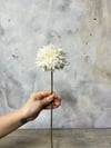 BEYAZ ORTANCA 45 CM