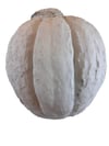 BÜYÜK KABAK UZUN 47X45 CM