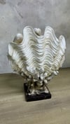 DENİZ KABUĞU 30X20 CM
