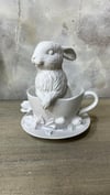 FİNCAN İÇİNDE TAVŞAN 17X13 CM