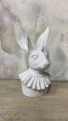 KAFA TAVŞAN ERKEK 22X13 CM