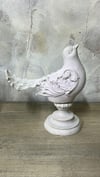 KAİDELİ POLYESTER KUŞ 19X19 CM