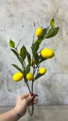 LİMON DEMET 80 CM 