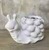 LİMON KAPLUMBAĞA 27X16 CM