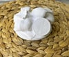 LİMON KAVANOZ KAPAĞI ÇAP 10 CM