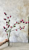 PEMBE NAR DALI 108 CM 