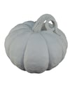 Polyester Orta Balkabaği \ 15X19cm