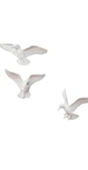 ŞIMARIK MARTI SET P-372