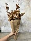 ŞOKLANMIŞ OKALİPTUS SARI 57 CM