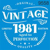 STENCİL 9558 30X30