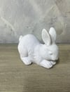 Tavşan Biblo 8 X 10 CM
