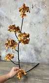 TEK DAL KOLZA ÇİÇEĞİ 88 CM 