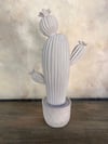 TEKLİ KAKTÜS 38X21 CM