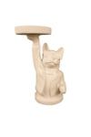 TEPSİ TUTAN GÖZLÜKLÜ KÖPEK 23X16 CM