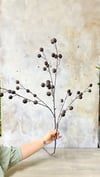 TOMURCUK DAL 108 CM