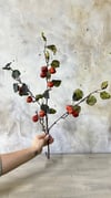 YENİ DÜNYA DALI 95 CM 
