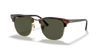 RayBan 3016 W0366 55