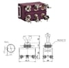 IC-160S SWION Toggle Switch 15AMP 6P MOM-OFF-MOM Ø12mm XT-23BF