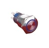 LAS1-AGQ-11ZE 19mm Metal LED'li Buton Anahtarlı IP67