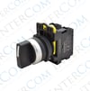LAY25-ED33 22mm Mandal Buton 1-0-2 Kalıcı (2NO)