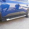 Dacia Sandero Kapı ve Çamurluk Koruma Dodik Seti 2021 ve Üstü