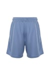 Giant Stride Dri Fit Grey Short S