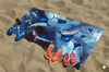 Sailfish Havlu