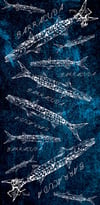 Scuba Tube Barracuda