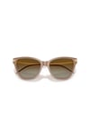 EMPORIO ARMANI GUNES 0EA 4251 6263T5 54