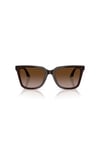 EMPORIO ARMANI GUNES 0EA 4261 631813 55 KADIN