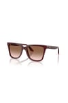 EMPORIO ARMANI GUNES 0EA 4261 632013 55 KADIN