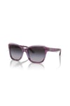 EMPORIO ARMANI GUNES 0EA4209 60568G 54 Kadın