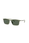 EMPORIO ARMANI GUNES 0EA4223U 542471 56