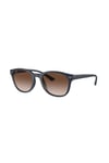 EMPORIO ARMANI GUNES 0EA4225U 508813 53