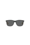 EMPORIO ARMANI GUNES 0EK4184 506087 49 Erkek