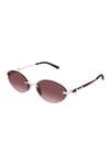 GUCCI GUNES GG2051S 003 58 17