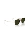OLIVER PEOPLES GUNES 0OV 1365ST 5035P1 53 ERKEK