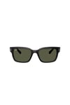Ray-Ban 0RB 2190 901/31 55 Erkek Güneş Gözlüğü