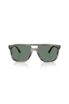 Ray-Ban 0RB 2213CH 14243R 55