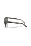 Ray-Ban 0RB 2213CH 14243R 55