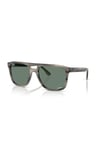 Ray-Ban 0RB 2213CH 14243R 55