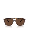 Ray-Ban 0RB 2213CH 902/AN 55