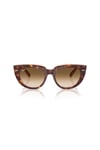 Ray-Ban 0RB 2286 141451 52