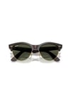 Ray-Ban 0RB 2341 990/31 51 Unisex Güneş Gözlüğü