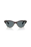 Ray-Ban 0RB 2341 990/3R 54 Unisex Güneş Gözlüğü