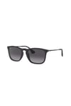 Ray-Ban 0RB 4187 622/8G 54 Erkek Güneş Gözlüğü