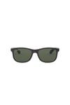 Ray-Ban 0RB 4202 606971 55 Erkek Güneş Gözlüğü