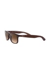 Ray-Ban 0RB 4202 607313 55 Unisex Güneş Gözlüğü