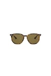 Ray-Ban 0RB 4306 710/73 54 Erkek Güneş Gözlüğü